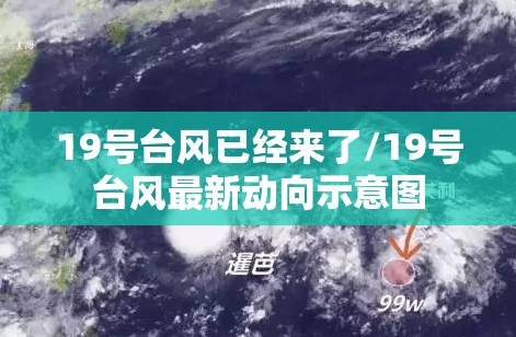 19号台风已经来了/19号台风最新动向示意图 19号台风已经来了/19号台风最新动向示意图