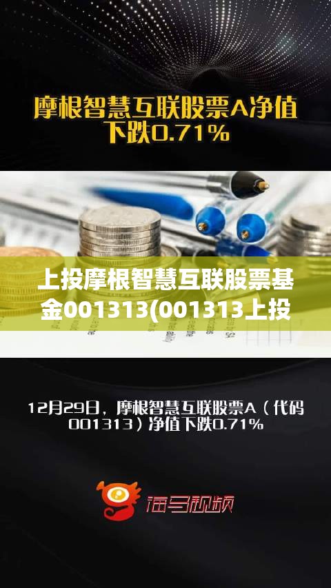 上投摩根智慧互联股票基金001313(001313上投摩根基金今日净值查询) 上投摩根智慧互联股票基金001313(001313上投摩根基金今日净值查询)