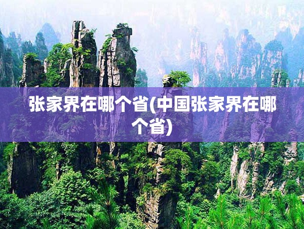 张家界在哪个省(中国张家界在哪个省) 张家界在哪个省(中国张家界在哪个省)