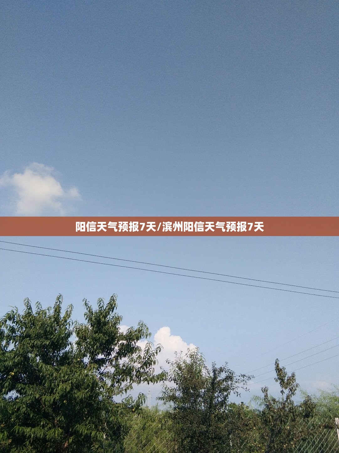 阳信天气预报7天/滨州阳信天气预报7天 阳信天气预报7天/滨州阳信天气预报7天