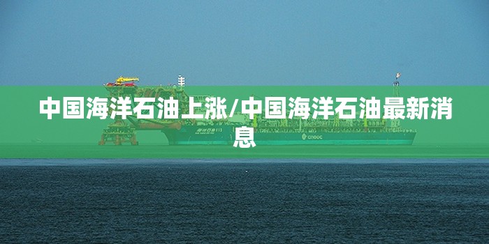 中国海洋石油上涨/中国海洋石油最新消息