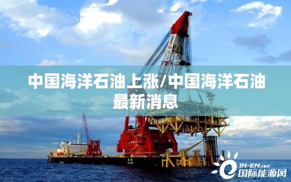 中国海洋石油上涨/中国海洋石油最新消息