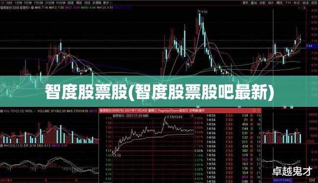 智度股票股(智度股票股吧最新)