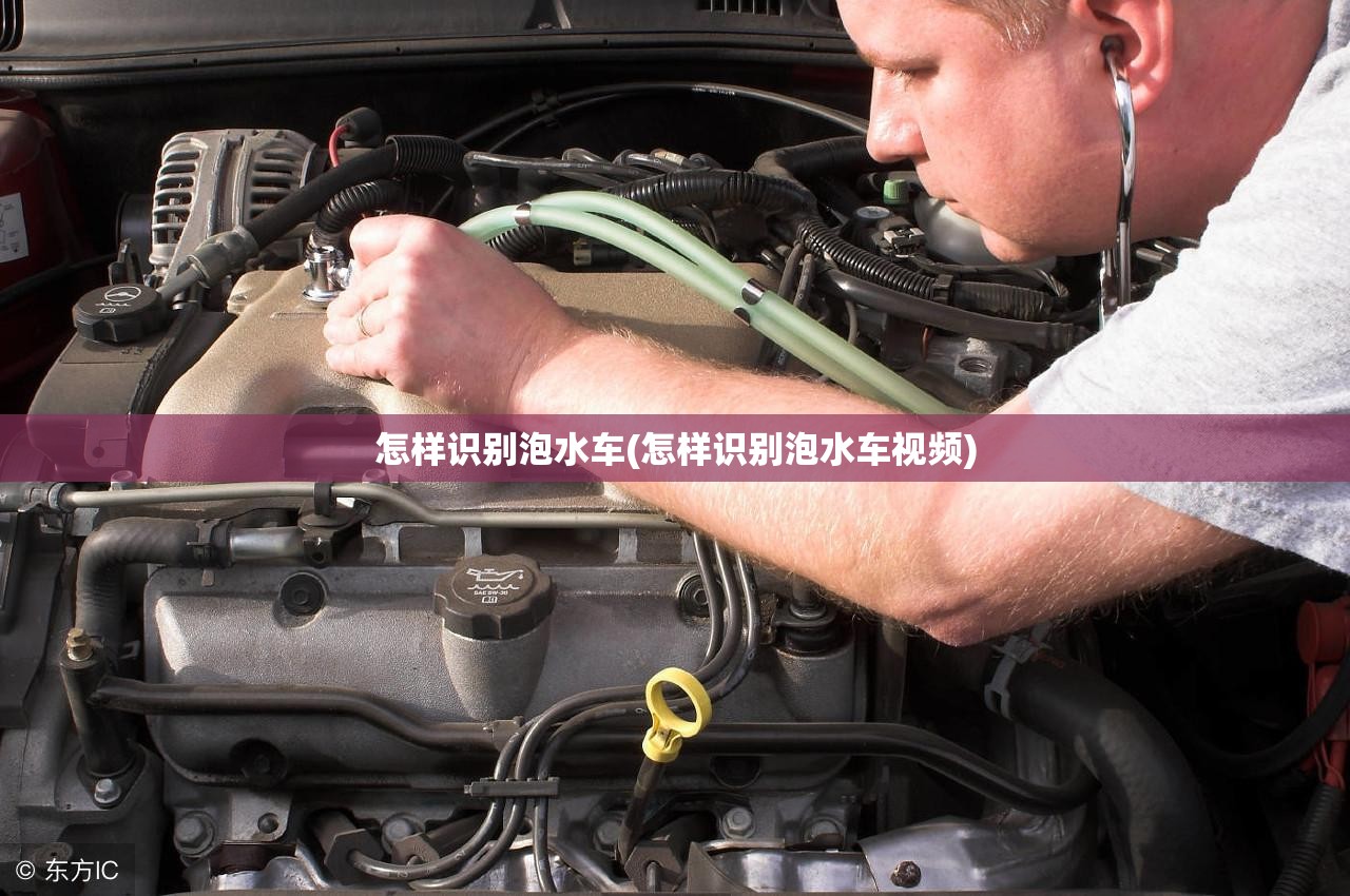 怎样识别泡水车(怎样识别泡水车视频)