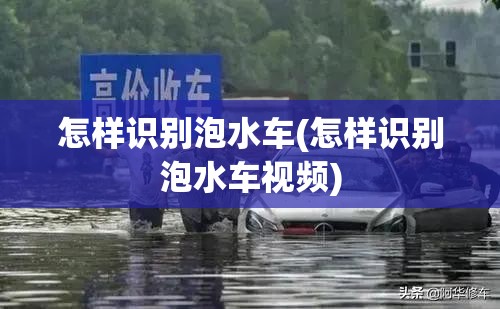怎样识别泡水车(怎样识别泡水车视频)