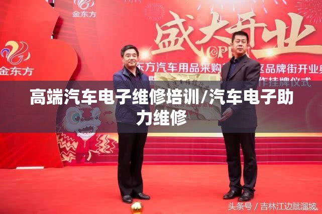 高端汽车电子维修培训/汽车电子助力维修