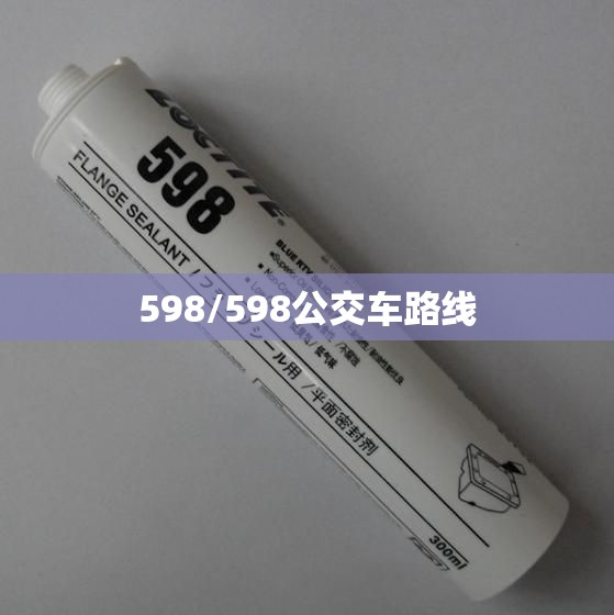 598/598公交车路线