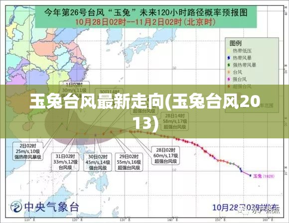玉兔台风最新走向(玉兔台风2013)