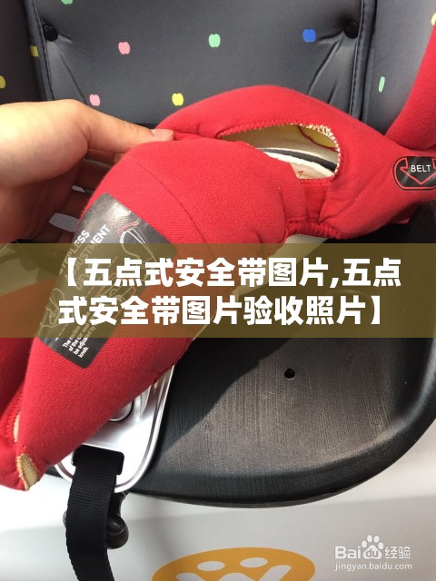 【五点式安全带图片,五点式安全带图片验收照片】 【五点式安全带图片,五点式安全带图片验收照片】
