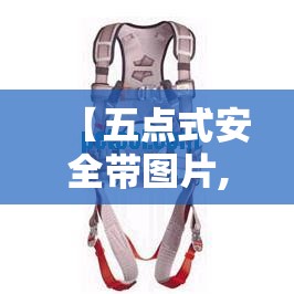 【五点式安全带图片,五点式安全带图片验收照片】 【五点式安全带图片,五点式安全带图片验收照片】