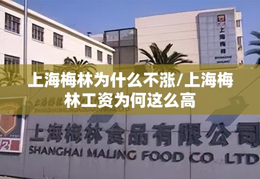 上海梅林为什么不涨/上海梅林工资为何这么高
