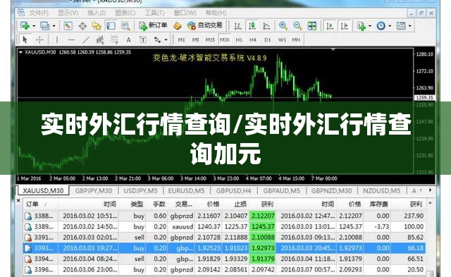 实时外汇行情查询/实时外汇行情查询加元 实时外汇行情查询/实时外汇行情查询加元