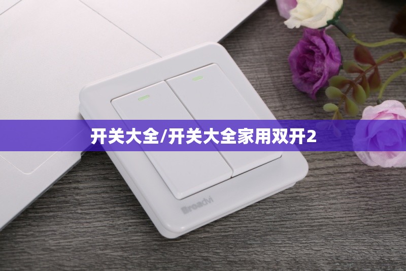 开关大全/开关大全家用双开2 开关大全/开关大全家用双开2