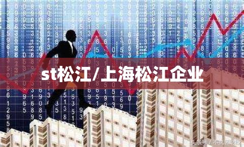 st松江/上海松江企业