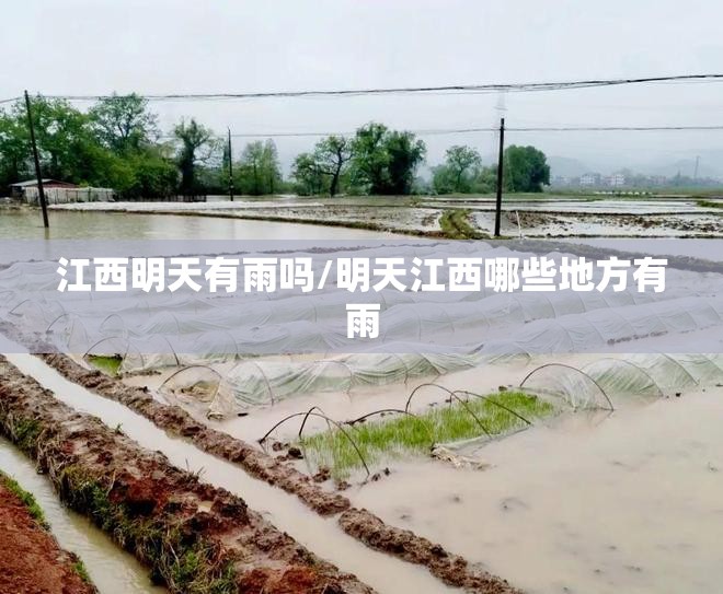 江西明天有雨吗/明天江西哪些地方有雨