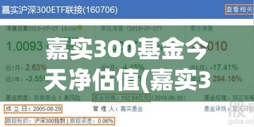 嘉实300基金今天净估值(嘉实300基金160706今日估值)