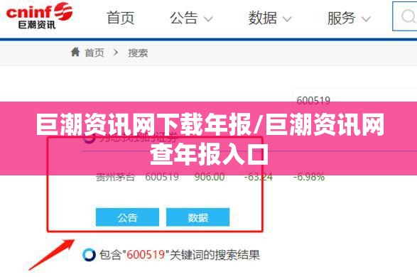 巨潮资讯网下载年报/巨潮资讯网查年报入口