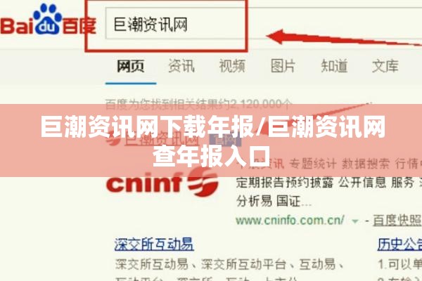 巨潮资讯网下载年报/巨潮资讯网查年报入口