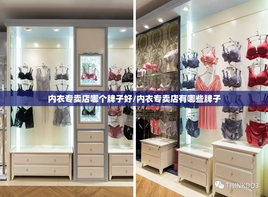 内衣专卖店哪个牌子好/内衣专卖店有哪些牌子 内衣专卖店哪个牌子好/内衣专卖店有哪些牌子