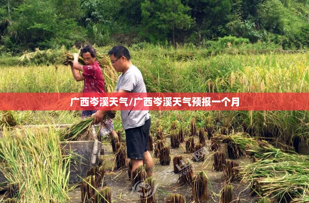 广西岑溪天气/广西岑溪天气预报一个月 广西岑溪天气/广西岑溪天气预报一个月