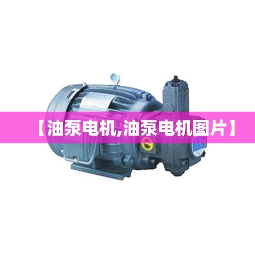 【油泵电机,油泵电机图片】 【油泵电机,油泵电机图片】