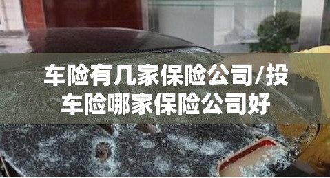 车险有几家保险公司/投车险哪家保险公司好 车险有几家保险公司/投车险哪家保险公司好