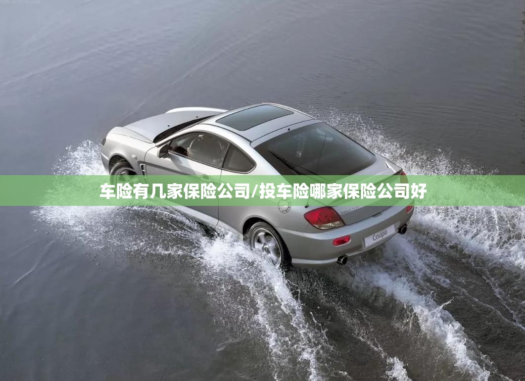 车险有几家保险公司/投车险哪家保险公司好 车险有几家保险公司/投车险哪家保险公司好