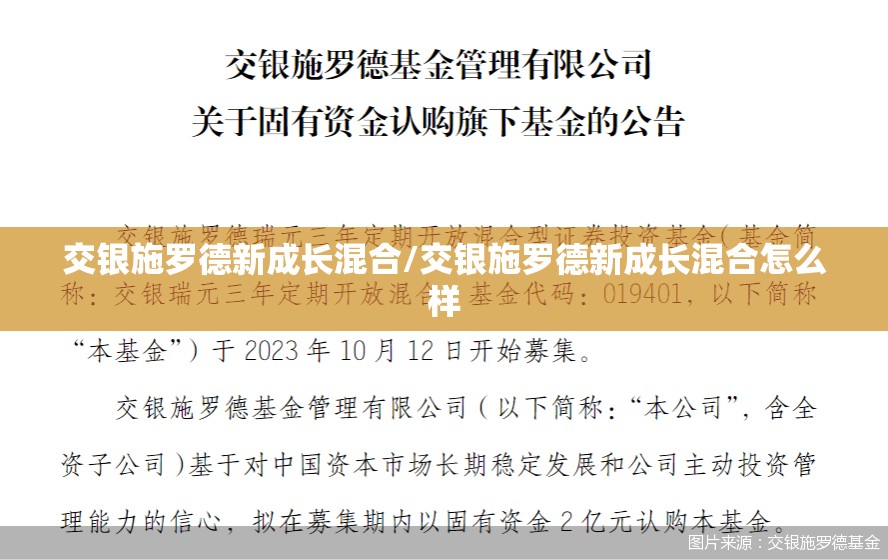 交银施罗德新成长混合/交银施罗德新成长混合怎么样 交银施罗德新成长混合/交银施罗德新成长混合怎么样
