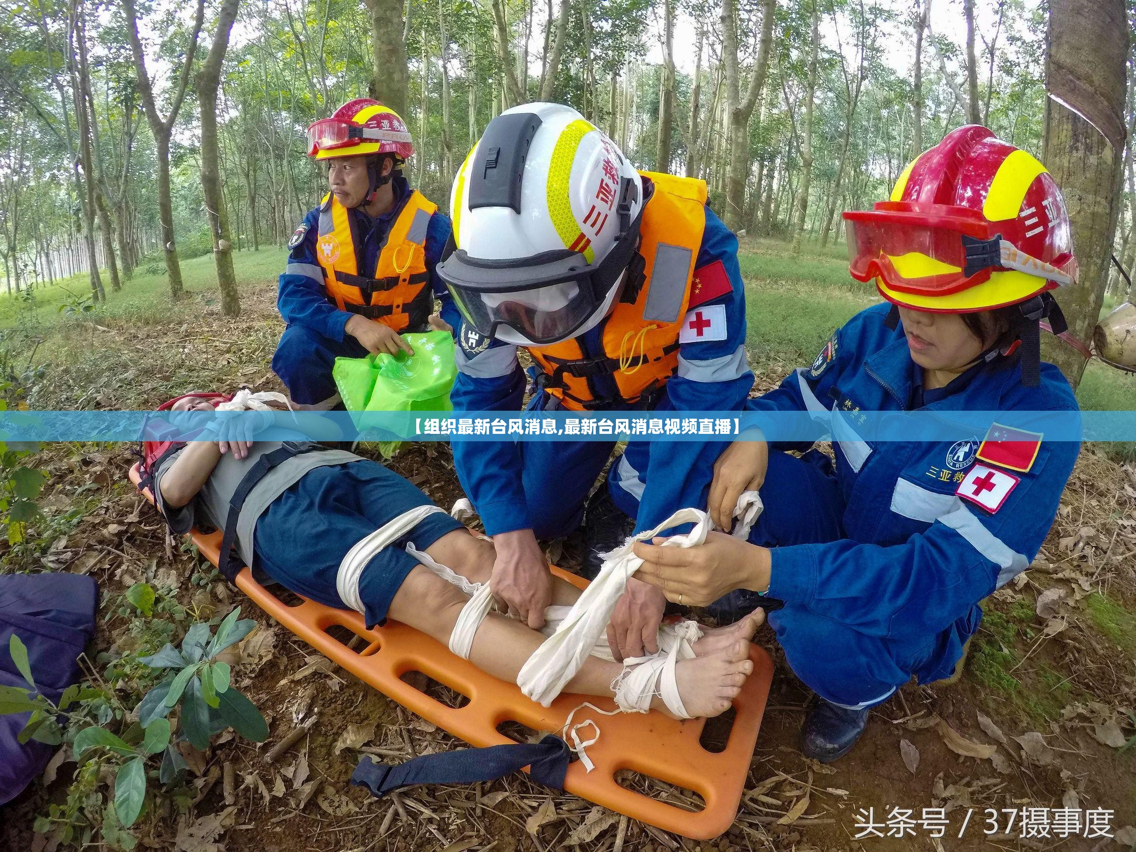 【组织最新台风消息,最新台风消息视频直播】