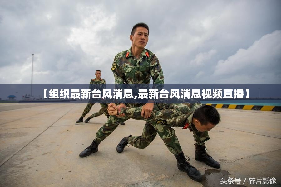 【组织最新台风消息,最新台风消息视频直播】