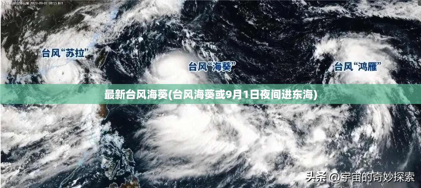 最新台风海葵(台风海葵或9月1日夜间进东海) 最新台风海葵(台风海葵或9月1日夜间进东海)