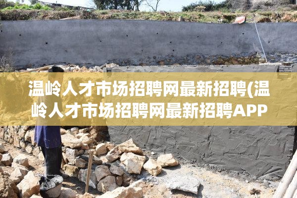 温岭人才市场招聘网最新招聘(温岭人才市场招聘网最新招聘APP)