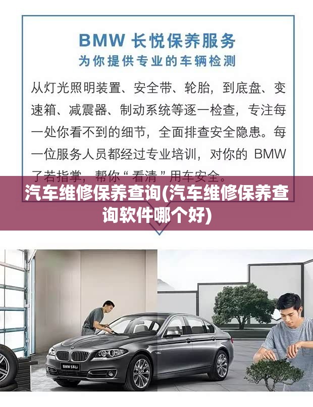 汽车维修保养查询(汽车维修保养查询软件哪个好)
