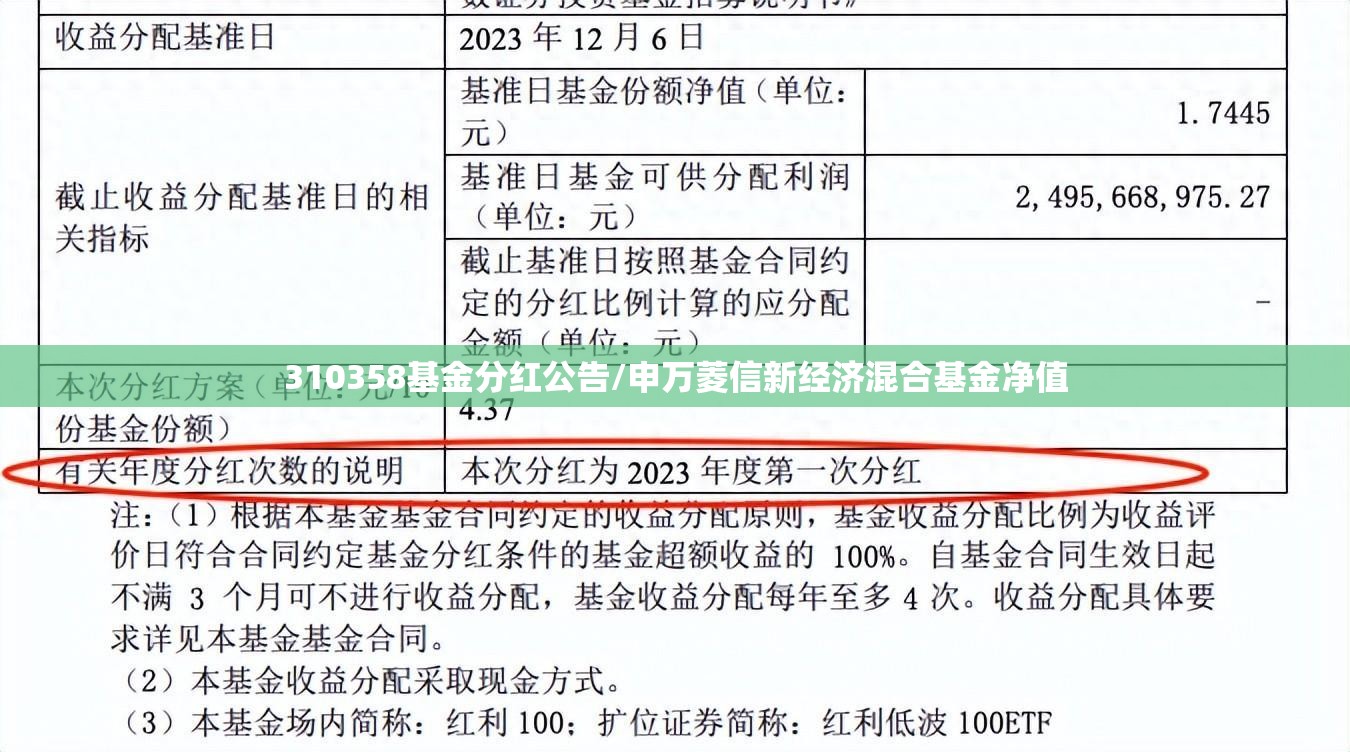 310358基金分红公告/申万菱信新经济混合基金净值 310358基金分红公告/申万菱信新经济混合基金净值