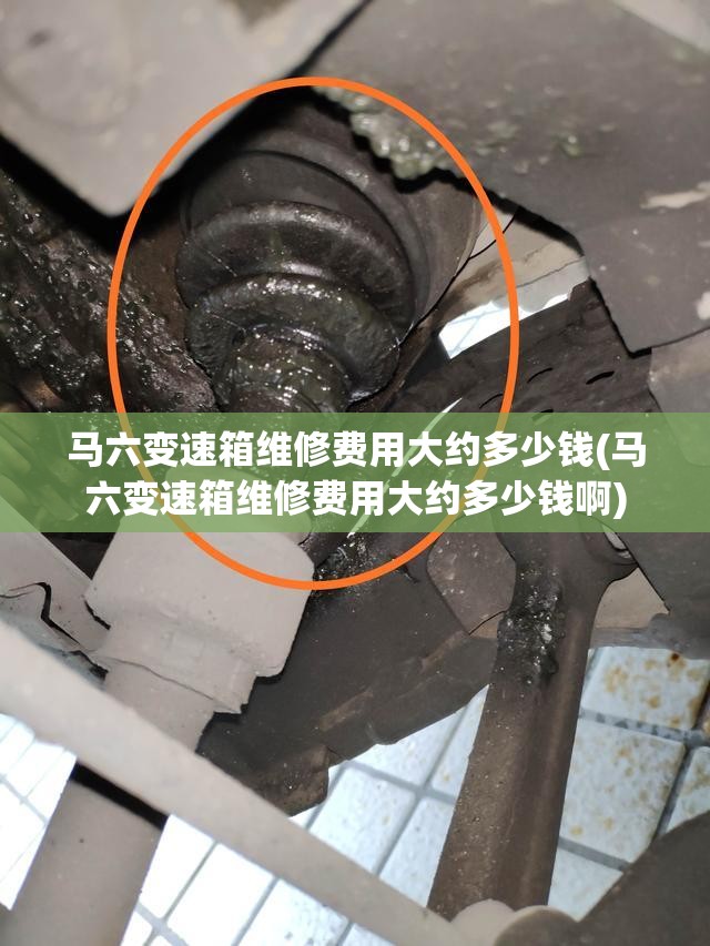 马六变速箱维修费用大约多少钱(马六变速箱维修费用大约多少钱啊) 马六变速箱维修费用大约多少钱(马六变速箱维修费用大约多少钱啊)