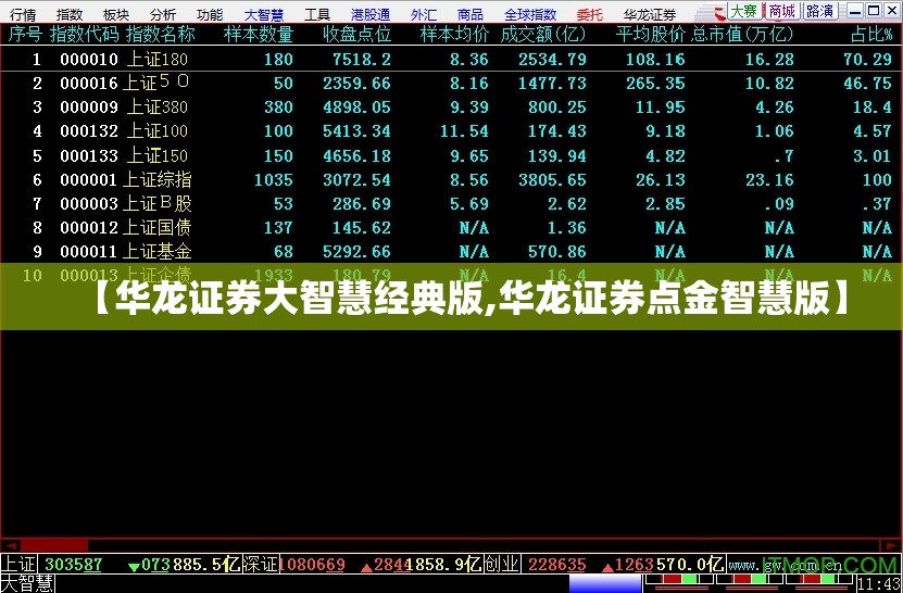 【华龙证券大智慧经典版,华龙证券点金智慧版】
