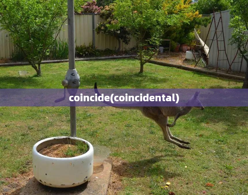 coincide(coincidental) coincide(coincidental)