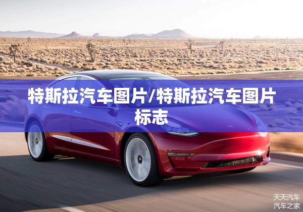 特斯拉汽车图片/特斯拉汽车图片标志