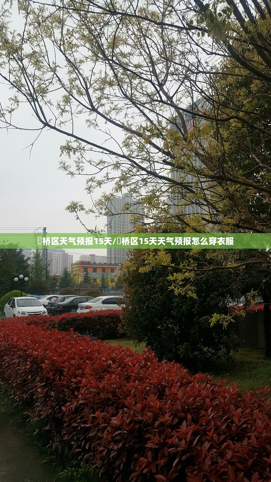 埇桥区天气预报15天/埇桥区15天天气预报怎么穿衣服