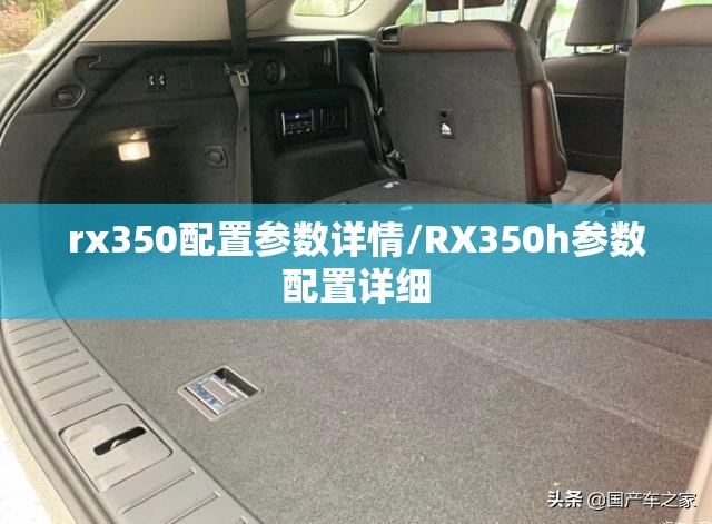 rx350配置参数详情/RX350h参数配置详细