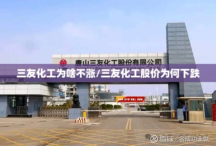 三友化工为啥不涨/三友化工股价为何下跌 三友化工为啥不涨/三友化工股价为何下跌
