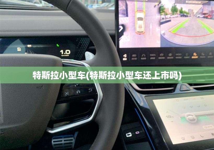 特斯拉小型车(特斯拉小型车还上市吗)
