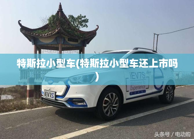 特斯拉小型车(特斯拉小型车还上市吗)