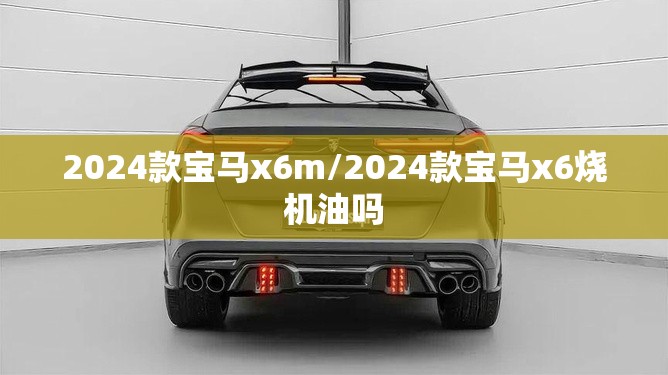 2024款宝马x6m/2024款宝马x6烧机油吗