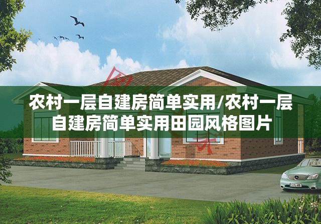 农村一层自建房简单实用/农村一层自建房简单实用田园风格图片